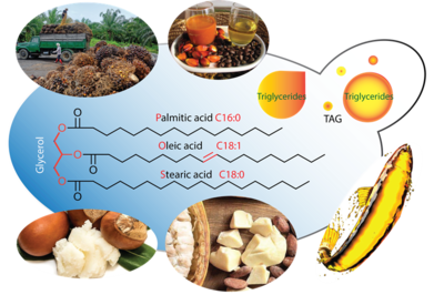&ldquo;廣以范&rdquo;初創(chuàng)公司完成預種子輪投資