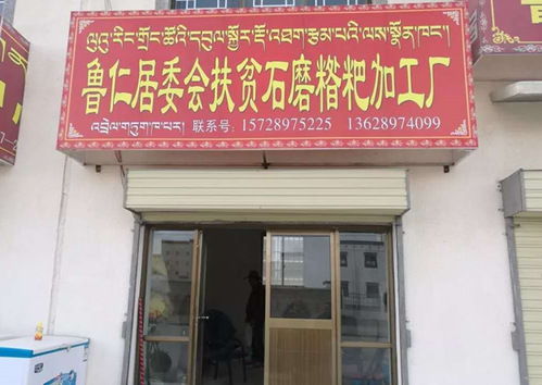 我校段玉平校友榮獲 全國脫貧攻堅先進個人 稱號丨將扶貧詩篇寫在海拔4700米